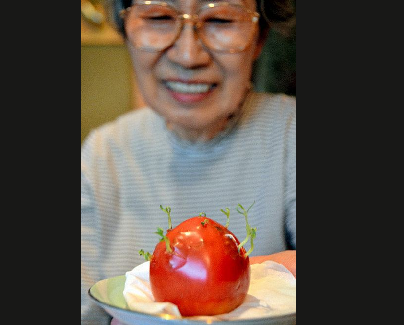 Jordbavning, Tsunami, Japan